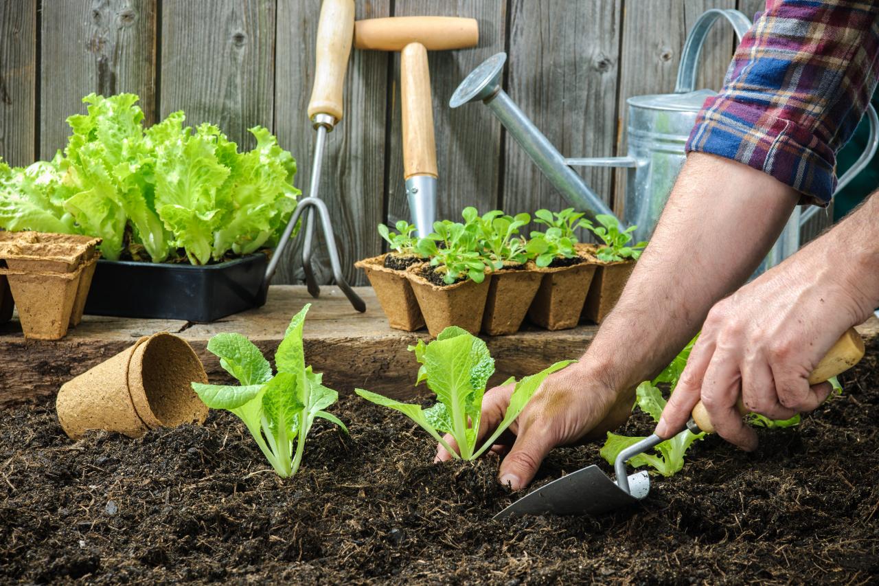 Gardening-for-Sustainability-How-Your-Garden-Can-Help-the-Environment