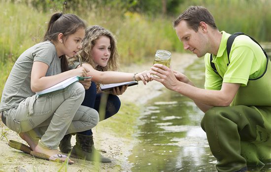 water education